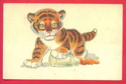 156230 / Tigers Tigres Tiger - Baby With Pacifier By  Russia Illustrator Leonid Emilevich Gamburger Russie Russland - Tigers