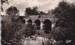 79-   COULONGES SUR L'AUTIZE Pont De Guilbot Sur L'Autize - Coulonges-sur-l'Autize