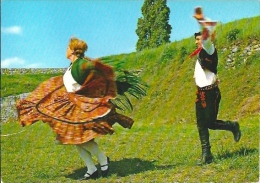 Delcampe - Postcard RA001510 - Serbian (Vojvodina) Gypsy National Dance - Tänze