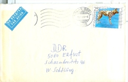 Bulgarien Mi. 3659 Hund Afrikanischer Wildhund TGST 1989 Sofia Luftpostbrief - Cartas & Documentos