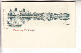 CH 8274 GOTTLIEBEN, Gruss Aus..., Ca. 1905 - Gottlieben