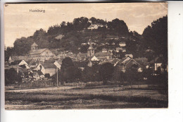 6650 HOMBURG, Panorama, 1918 - Saarpfalz-Kreis