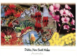 (808) Australia - NSW - Dubbo Map And Flowers - Dubbo