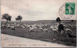 78 LE PERRAY - Un Troupeau Dans La Plaine - Le Perray En Yvelines