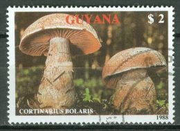 GUYANA 1989: YT 2080, O - FREE SHIPPING ABOVE 10 EURO - Guyane (1966-...)