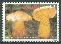 GUYANA 1989: YT 2078, O - FREE SHIPPING ABOVE 10 EURO - Guyane (1966-...)