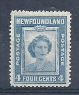 140016852  NEWFOUNDLAND  YVERT  Nº    230 */MH - 1908-1947