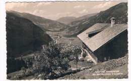 Ö-2314     MAYRHOFEN : Gasthof Wiesenhof - Schwaz