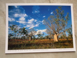 Australia  - Boab Bäume  Im Keep River  N.P. - Northern Territory  -  German  Postcard    D121156 - Unclassified