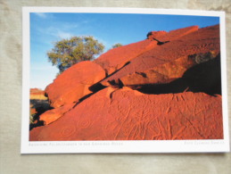 Australia  - EWANINGA ROCKS - Aborigen Felsritzungen - Northern Territory  -  German  Postcard    D121172 - Sin Clasificación