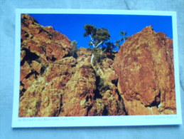 Australia  Im Outback Des Northern Territory  -  German  Postcard    D121192 - Unclassified