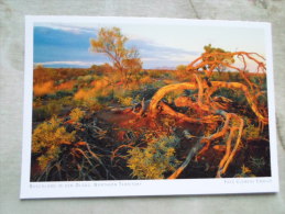 Australia  -  The Olgas  - Uluru N.P.  Bushland  -  Northern Territory  -  German  Postcard    D121202 - Ohne Zuordnung