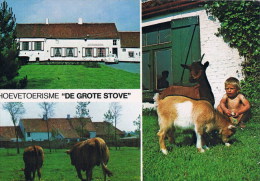 Zuinkerke   Toeristenhoeve  De Grote Stove - Zuienkerke