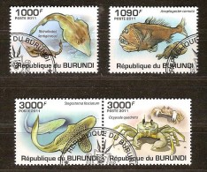 Burundi 2011 OCBn° 1222-25 (°) Used Cote 15 Euro Faune Marine - Used Stamps