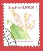 BRASILE USATO - 1992 - FLORA BRASILIANA - Triplaris Surinamensis - 5000 Cruzeiro - RHM BR 688 - Used Stamps