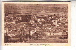 5560 WITTLICH, Blick Von Den Weinbergen Aus, 1920 - Wittlich