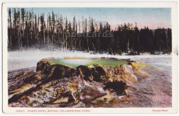 USA, YELLOWSTONE NATIONAL PARK, PUNCH BOWL SPRING,  C1920s Unused Vintage Postcard ~ HAYNES Pub. - USA National Parks
