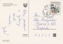 I8701 - Czechoslovakia (1982) Ceske Budejovice 1 (stamp - Manufacturing Defect: Shifted Printing Green Color) - Abarten Und Kuriositäten