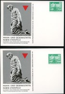 DDR PP16 C2/027 2 Privat-Postkarten DRUCKVERSCHIEBUNGEN KZ Sachsenhausen 1980 - Private Postcards - Mint