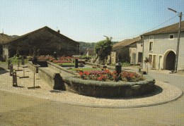 LIRONCOURT (Vosges) - Fontaine-Lavoir - Autres & Non Classés