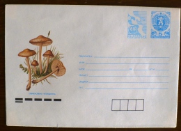 BULGARIE CHAMPIGNONS, CHAMPIGNON, MUSHROOM, Setas 1 Entier Postal Emis En 1991. Neuf - Pilze