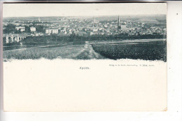 0-5320 APOLDA, Panorama, Ca. 1905 - Apolda