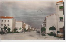 (CPA895) ANDUJAR. JAEN. AVENIDA CAMILO ALONSO VEGA - Jaén