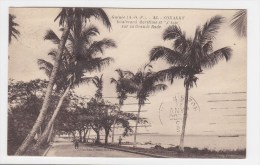 FRANCE. CP. CPA. CARTE POSTALE.................. COLONIE. AOF. CONAKRY. GUINEE - Guinea