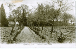 33- BLANQUEFORT _ Domaine De Curgan - Blanquefort