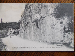 21 - GEVREY CHAMBERTIN - Combe De Lavaux - La Roche Qui Pleure. (animée) - Gevrey Chambertin