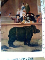 Quadro Pietro Longhi  VENEZIA IL RINOCERONTE N1965 EN9772 - Rinoceronte