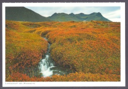 Iceland / Island - Landschaft Bei Hvanneyri, Grassland, Landscape, Stream PC - Islanda