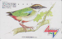 Télécarte Japon  - OISEAU - BREVE Peinture - PITTA BIRD Painting Japan Phonecard - VOGEL Telefonkarte - 3569 - Passereaux