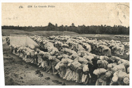 (M+S 299)  (older Postcard - Carte Ancienne) - Praying Time - Islam - Islam