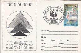 PELICAN, BIRDS, STAMP ON WWF PHILATELIC EXHIBITION SPECIAL COVER, 1992, ROMANIA - Pelikanen