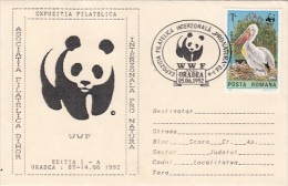 PELICAN, BIRDS, STAMP ON WWF PHILATELIC EXHIBITION SPECIAL COVER, 1992, ROMANIA - Pellicani