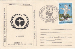 PELICAN, BIRDS, STAMP ON WWF PHILATELIC EXHIBITION SPECIAL COVER, 1992, ROMANIA - Pelicans