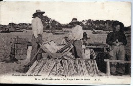 D33 - ARES - La Plage à Marée Haute - Arès