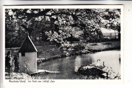 5778 MESCHEDE, Schloß Laer, Park, 1954 - Meschede