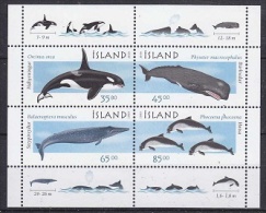 Iceland 1999 Orcas / Whales M/s ** Mnh (18176) - Blokken & Velletjes