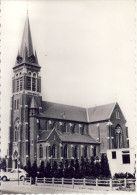 Merksplas St; Willibrorduskerk - Merksplas