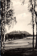 Augustusburg - S/w Blick Vom Birkenwäldchen 2 - Augustusburg