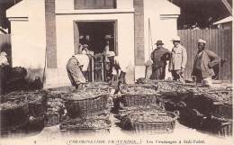 Tunisie       Vendanges A Sidi-Tabet     (voir Scan) - Tunisie