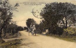 Tunisie       Korbous     Dans La Forêt De Soliman   Petit Pli D'angle   (voir Scan) - Tunisia