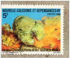 Nelle CALEDONIE : Aquarium De Nouméa Popinée De Récif (Parribacus Caledonicus) Ou Cigale De Mer- Crustacées - - Gebruikt