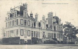 CENTRE - 41 - LOIR ET CHER - HERBAULT ( Château Du Guerinet - Herbault