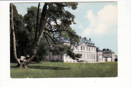 Carte 1980 Le Grand Lucé : Le Parc Du Château - Le Grand Luce