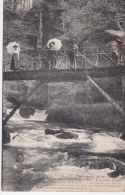 VIC  SUR  CÈRE  - GORGES  ET  CASCADE - Vic Le Comte