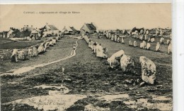 CPA 56  CARNAC ALIGNEMENTS ET VILLAGE DU MENEC - Carnac