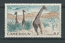 Cameroun: PA 47 * - Giraffes